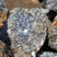 Corse - Bastelica - Gabbro Diorite