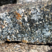 Corse - Bastelica - Gabbro Diorite