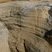 Bioturbation racinaire dans dune fossile