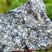 Corse - Bastelica - Gabbro Diorite