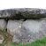 Dolmen de la Frébouchère et sa dalle géante de granite