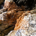 Corse – Olmeto – Pegmatite