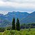 Dentelles de Montmirail