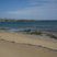 Tourbe fossile flandrienne - Plage de Meneham - Bretagne