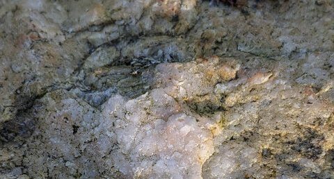 Quartz filonien de Saint-Rémy-du-Plain