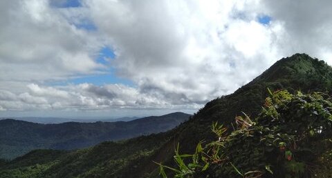 Site 1. Sommet du volcan du Morne Jacob