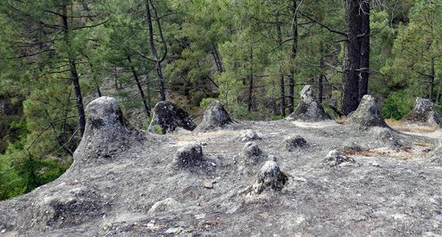 Tétines de Vernon