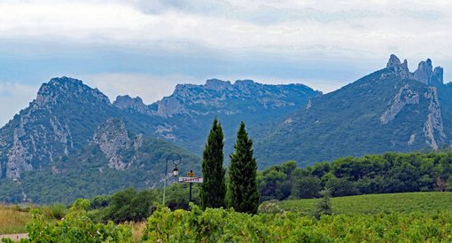 Dentelles de Montmirail