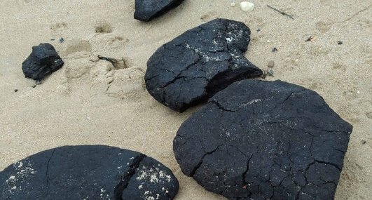 Galettes de tourbe sur estran -Plage de Kervégan -Plouhinec