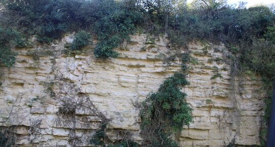 Falaises mortes de calcaire argileux d'Esnandes