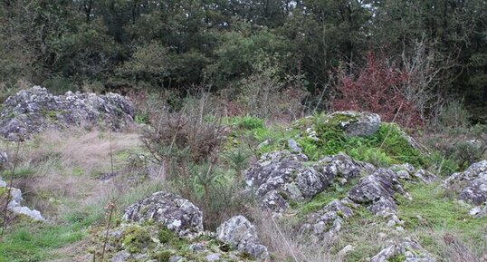 Quartzite de la Crête des Moulins