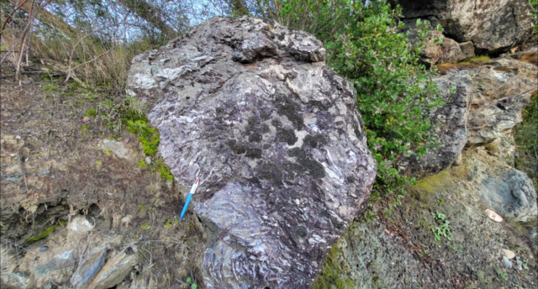 Corse - Vallée de la Casaluna - Métaradiolarite