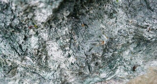 Serpentinite de type Antigorite à la Carrière de la Brosse