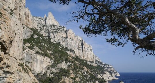 Calcaire Urgonien des Calanques dans le secteur de Sugiton