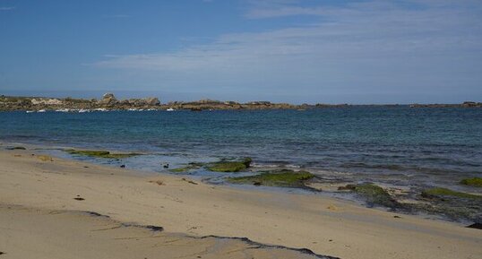 Tourbe fossile flandrienne - Plage de Meneham - Bretagne