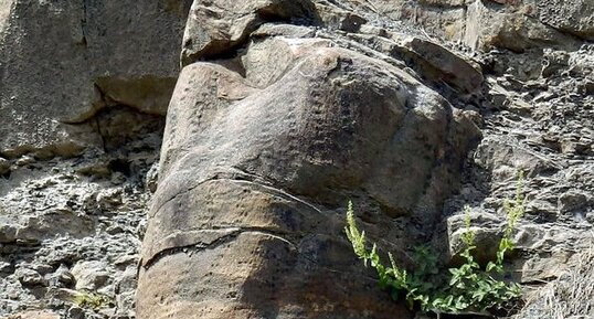 Forêt fossile de Champclauson