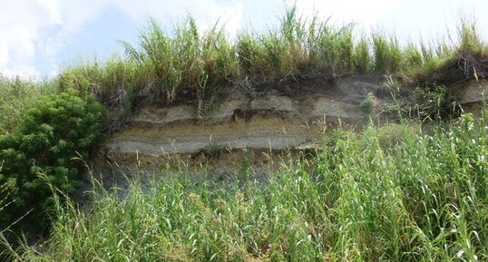 Site 15. Dépôts de retombées pliniennes à la carrière Bouyer