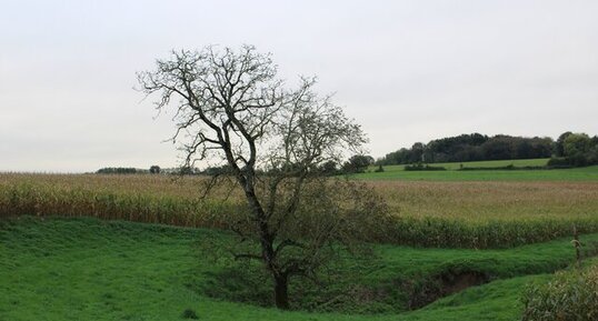 La Perte du Beignon