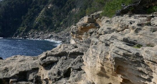 Grès de dunes fossiles würmiennes, Port Cros (Pointe du Tuf)