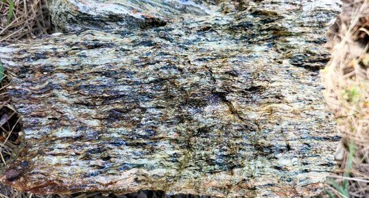 Corse - Muracciole - "Gneiss des Strettes"