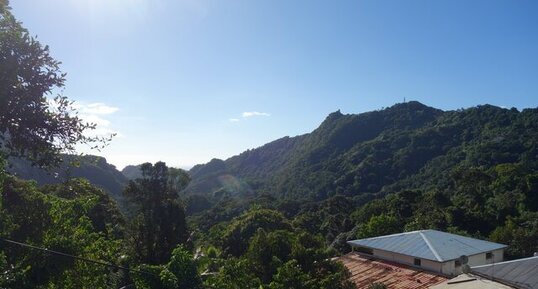 Site 3. La cicatrice de l'ancien édifice du Carbet à la crête du Morne des (…)