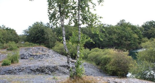 Schiste Ardoisier de Trélazé (Anjou)-Schiste d'Angers