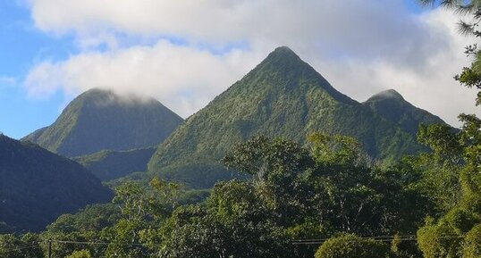 Site 7. Les dômes de lave des Pitons du Carbet depuis l'arboretum de Balata