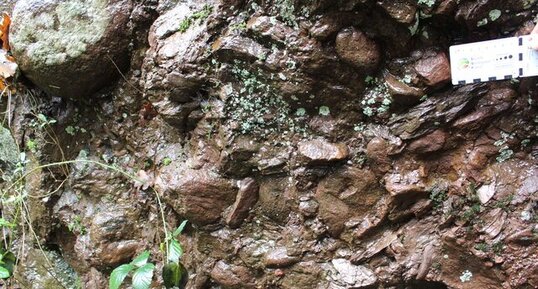 Conglomérat pourpre stéphanien dans la région de Faymoreau.