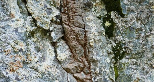 Filon de Rhyodacites dans les Gneiss des Bancs