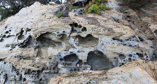 Taffonis dans les schistes et phyllades de Brégançon.