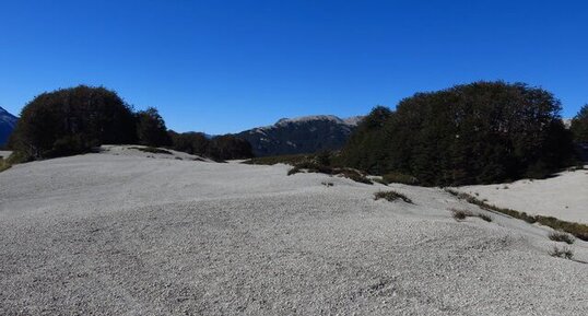 Retombées de ponces de l'éruption du Puyehue