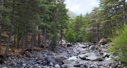 Corse - Asco - Roches Pyroclastiques