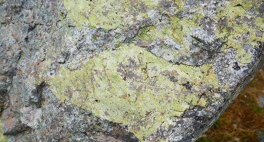 Epidote dans le granite du Riéou Blanc