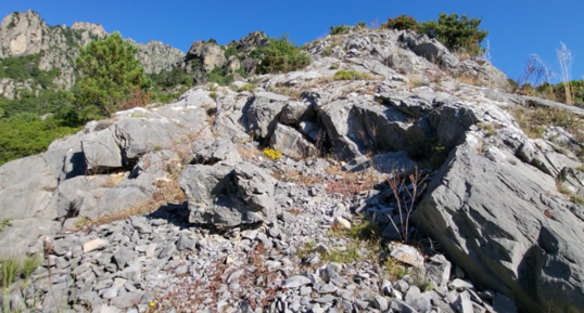 Corse - Venaco - Marbre & Calcite