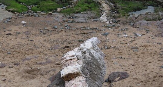 Filon de quartz sur l'estran de Brétignolles-sur-Mer