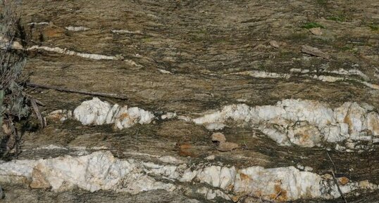 Lentilles de Quartz dans les micaschistes du Massif des Maures