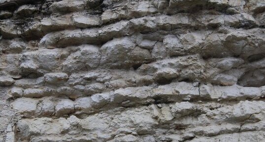 Falaise de calcaire jurassique à Fontenay-le-Comte