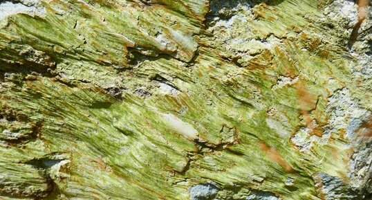 Epidote dans le granite du Riéou Blanc