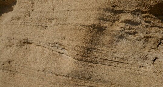 Stratification oblique dans une fossile, Port Cros (Pointe du Tuf)