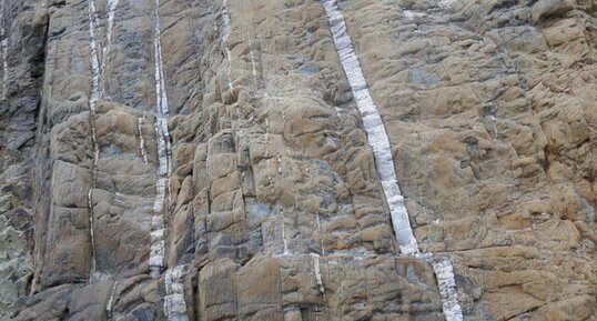 Filons de quartz dans les phyllades de la presqu'île de Brégançon.