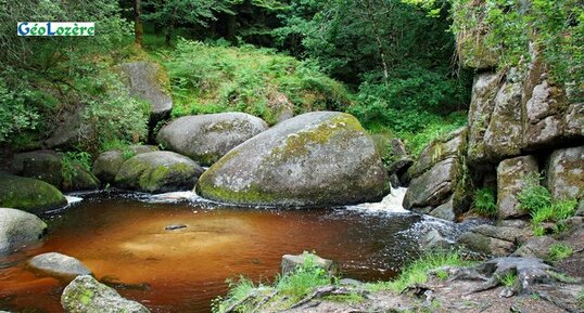 La Mare aux Sangliers