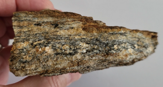 Corse - Grossa - Migmatite Granodiorite