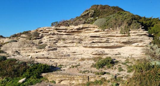 Corse - Bonifacio - Calcaire