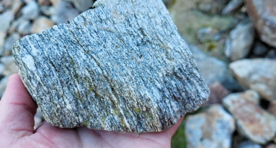 Corse - Tavera - Gneiss