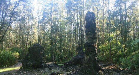 Lava Trees (moulage de troncs par la lave, tree molds)