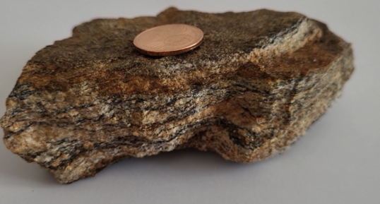 Corse - Grossa - Migmatite Granodiorite