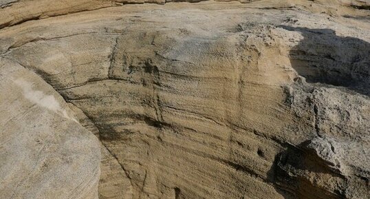 Bioturbation racinaire dans dune fossile