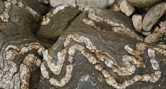 Filonnets de quartz dans panneau de gneiss - Île de Siec - Bretagne