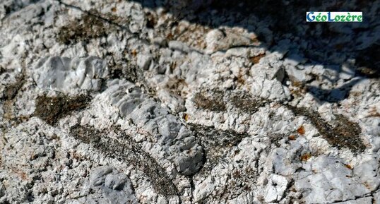 Granite orbiculaire de Grandrieu