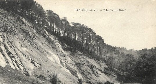 Ancienne carrière de grès-quartzite clairs du Tertre Gris